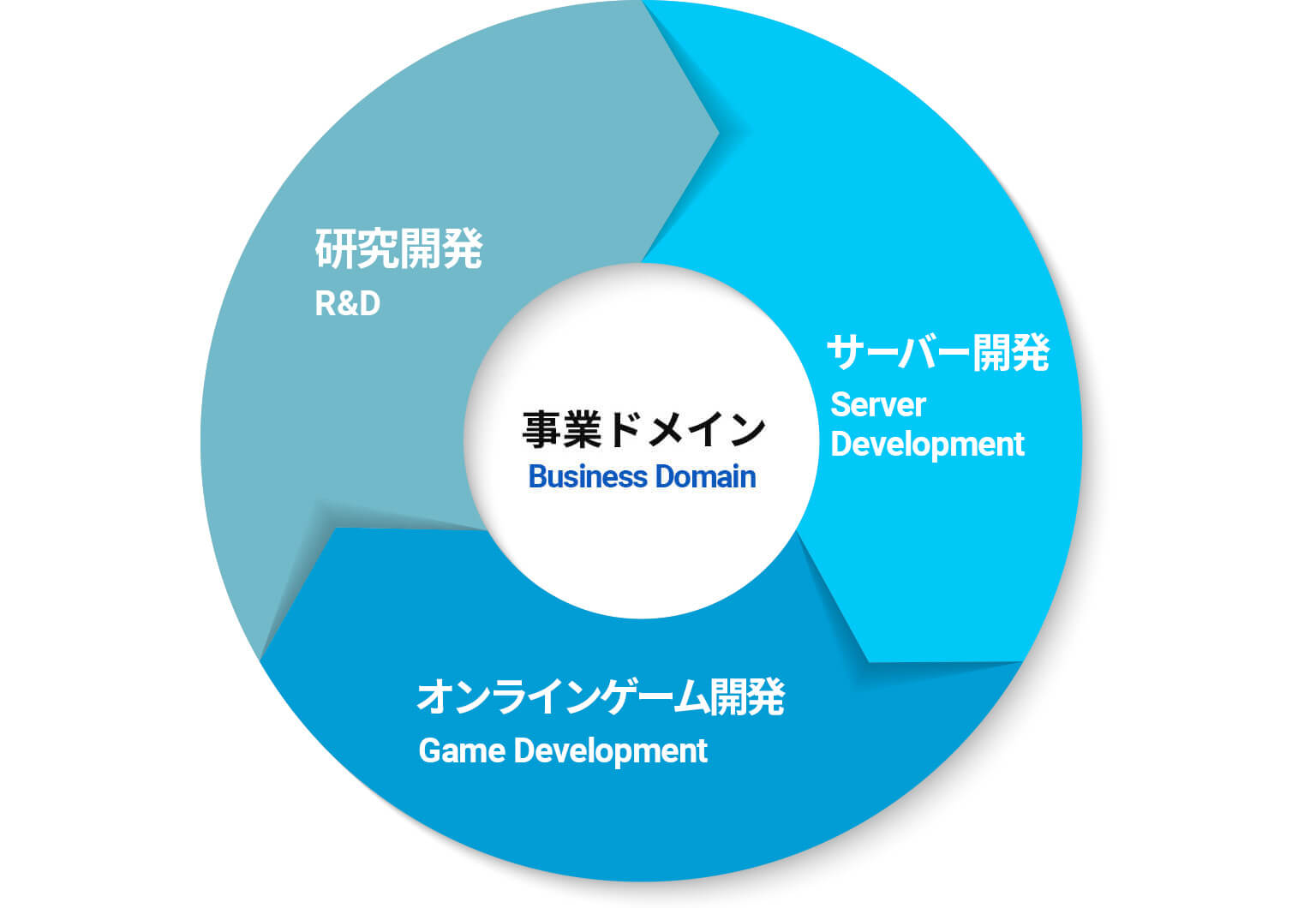 事業ドメイン 研究開発 サーバー開発 オンラインゲーム開発